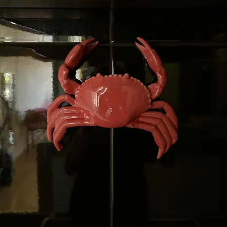 Bright & Spacious In Buda *